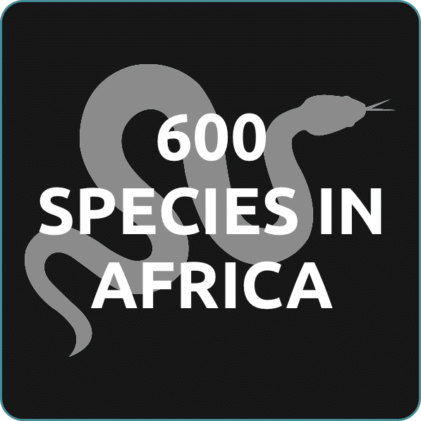 600 Species in Africa Icon