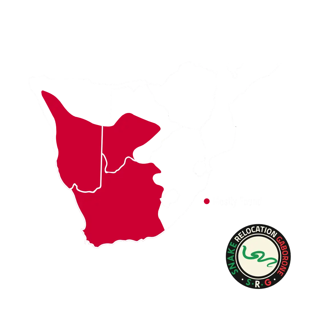 Cape Cobra Location Map Cape Cobra Map