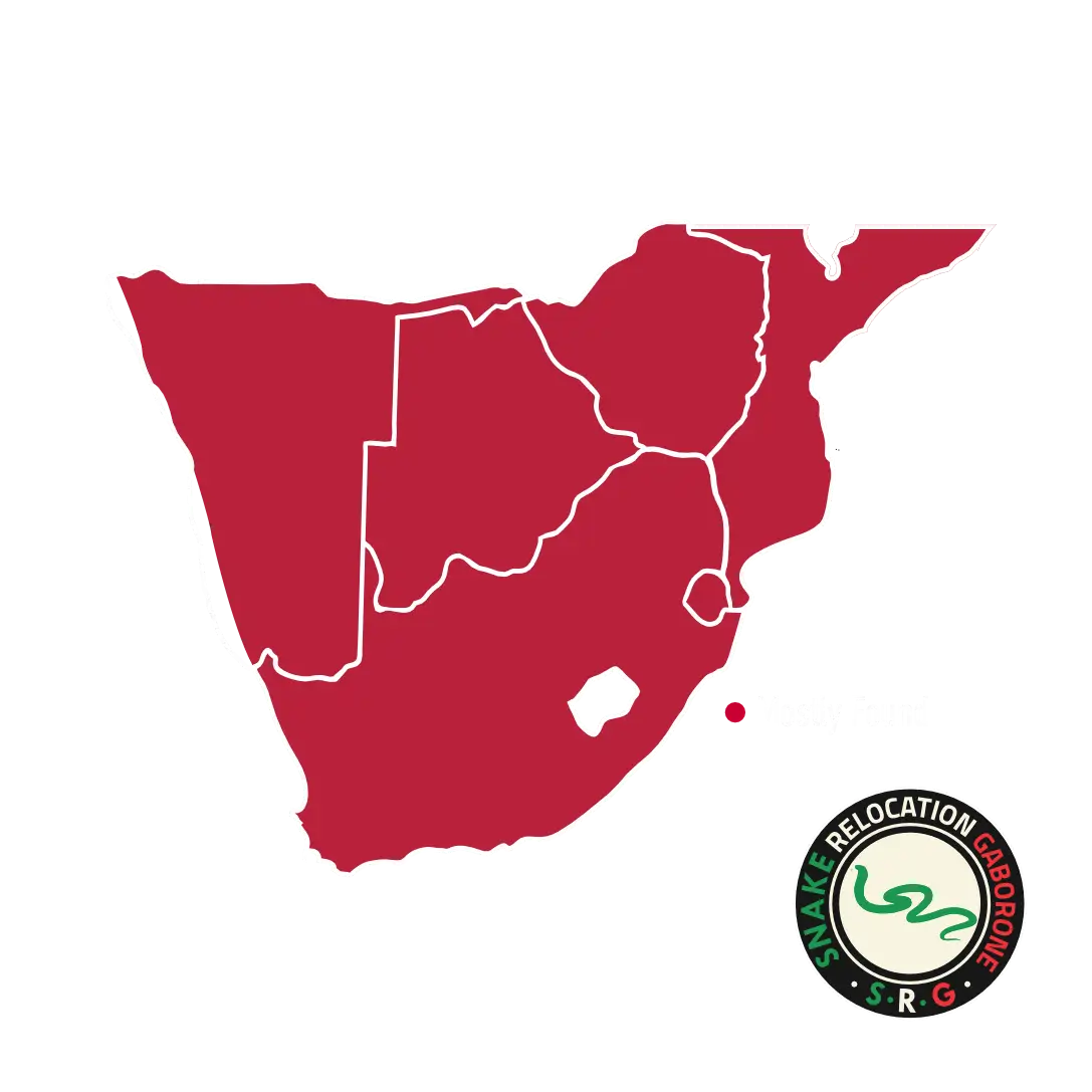 Puff Adder Location Map Puff Adder Map